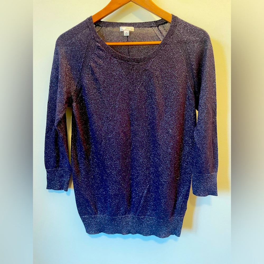 GAP Sparkle Sweater